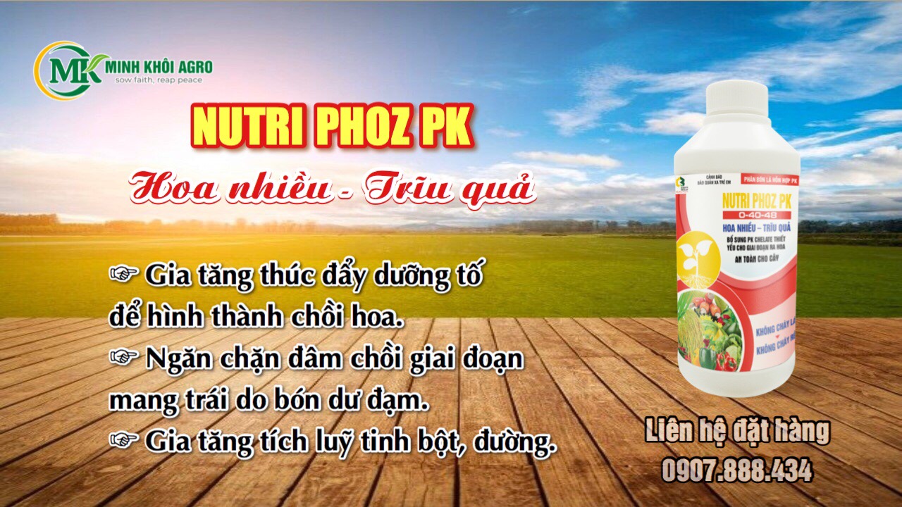 Phân bón hỗn hợp PK Nutri Phoz PK - Chai 500ml